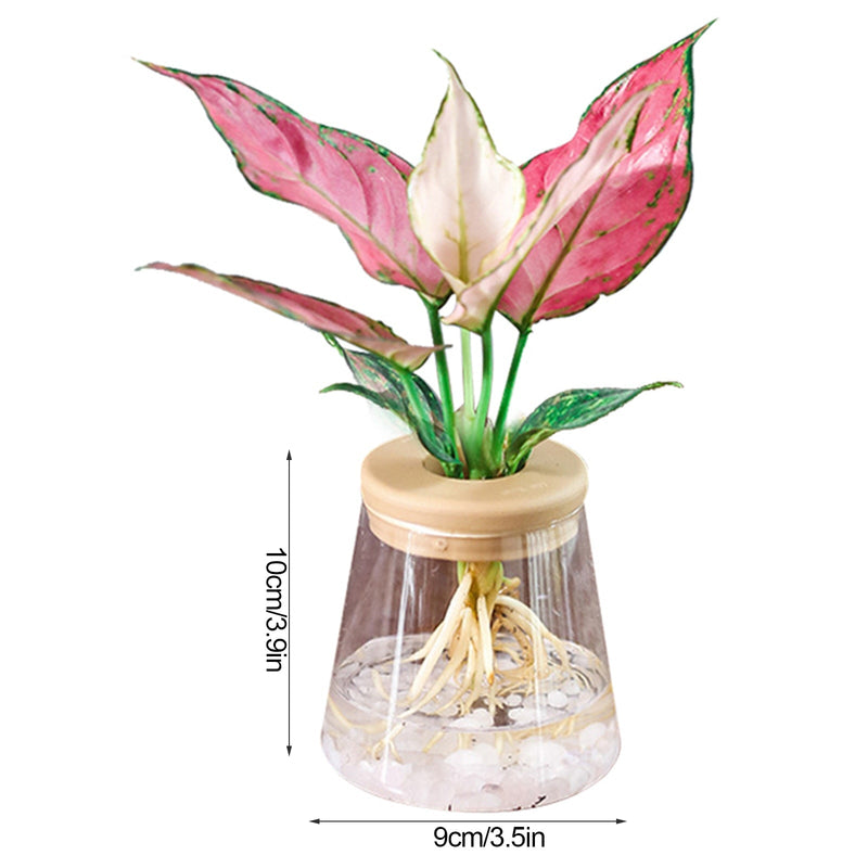 Vaso Hidroponia para Flores e Plantas